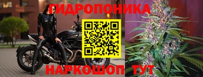 ГАЛЛЮЦИНОГЕННЫЕ ГРИБЫ Гусев