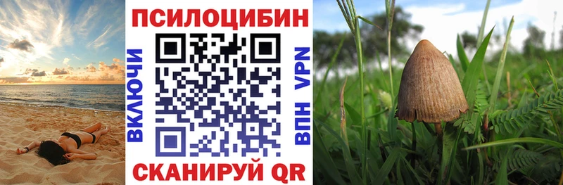 Галлюциногенные грибы MAGIC MUSHROOMS  Карпинск 