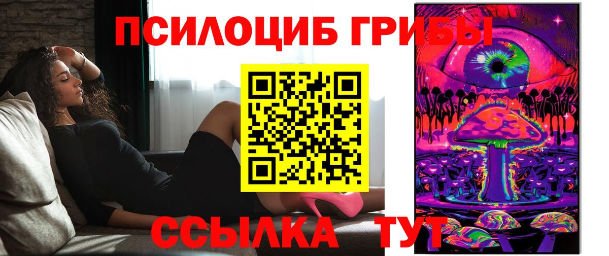 Карпинск  Псилоцибиновые грибы мицелий  Вход с VPN  Галлюциногенные грибы Psilocybe 